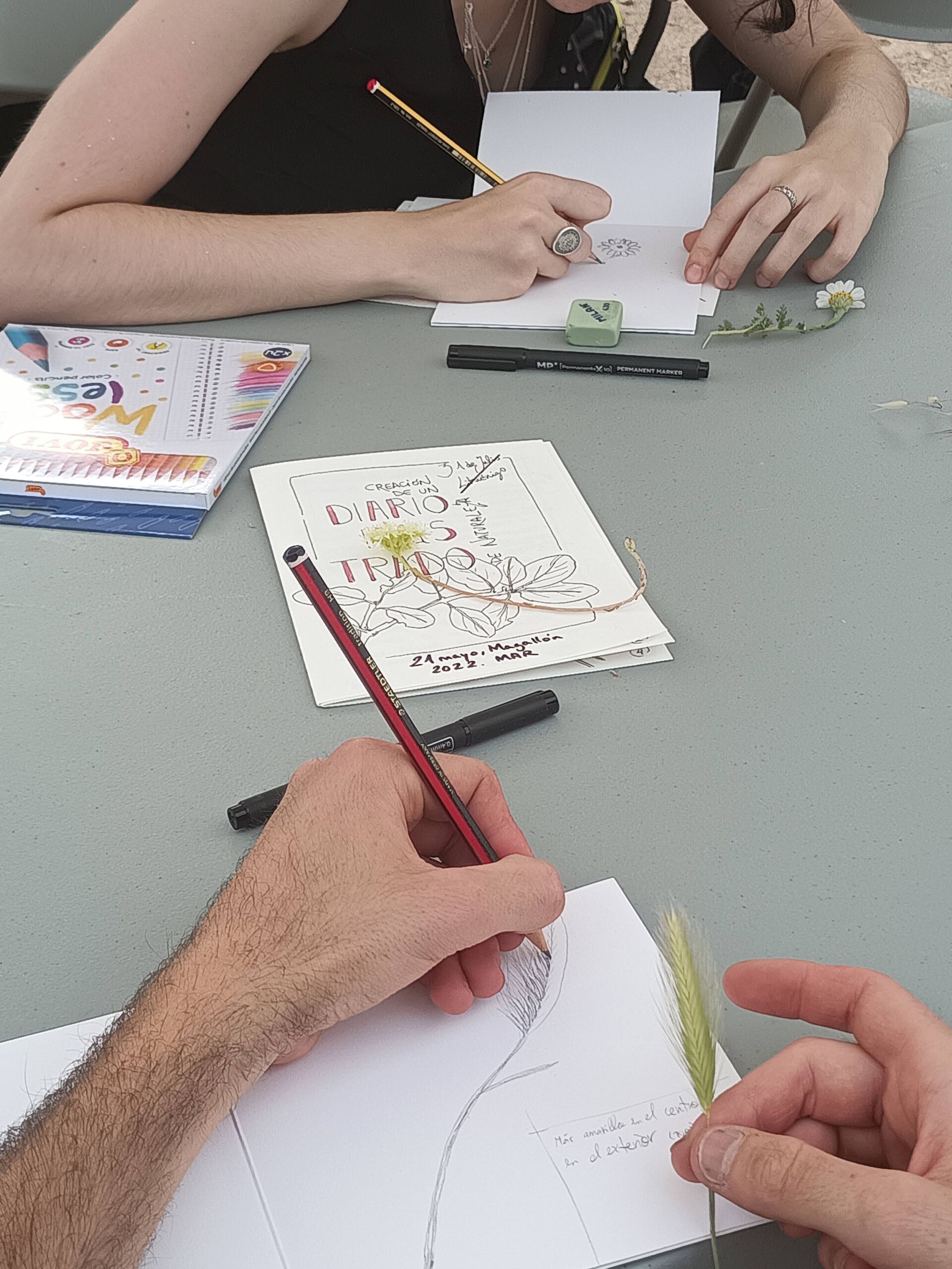 MAR Festival Magallón Taller Pintura Naturalista: Esther Charles