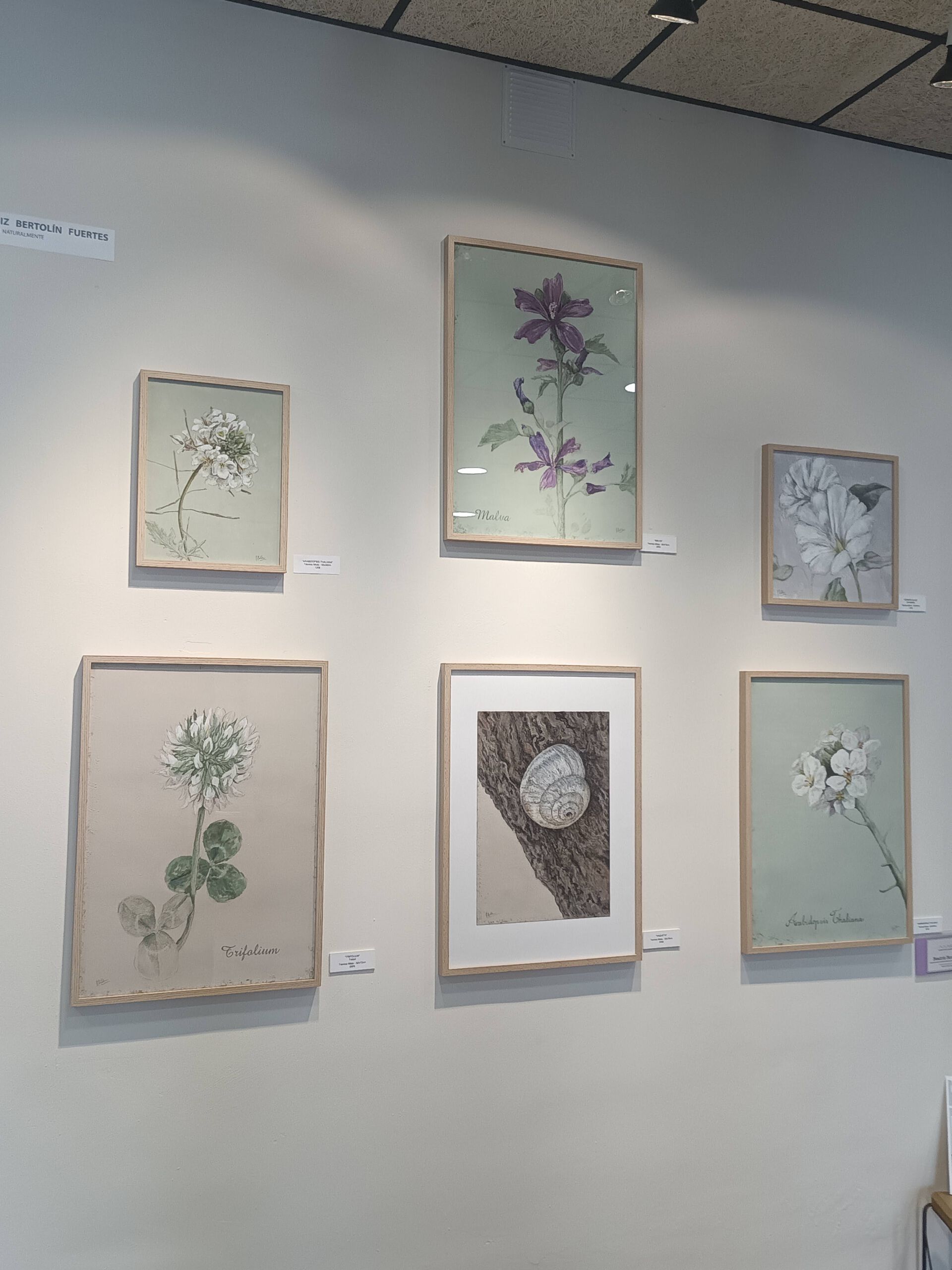 MAR Festival Magallón Exposición Colectiva: Beatriz Bertolín